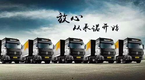 东丰物流爆料最新消息,揭秘行业动态与重大事件